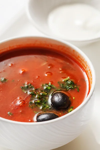 Tál leves solyanka — Stock Fotó