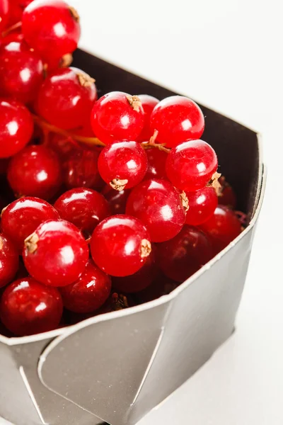 Red currant berries in the box — Stock Photo, Image
