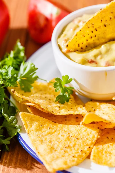 Mexikanische Guacamole mit Nachos — Stockfoto