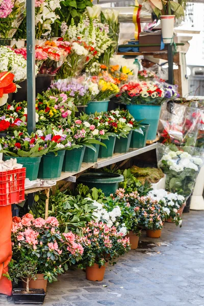 Çiçekçi Çiçek — Stok fotoğraf