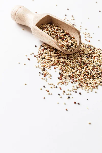 Grãos de sementes de quinoa — Fotografia de Stock