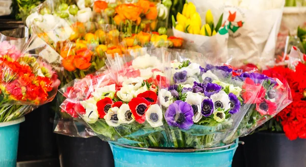 Fiori nel negozio di fiori — Foto Stock