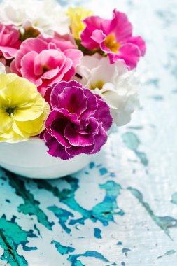 Parlak bahar çiçekleri