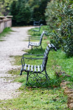 parkta yeşil tezgah