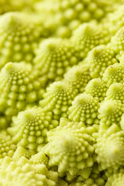 Romanesko broccoli hintergrund — Stockfoto