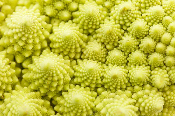 Romanesko broccoli bakgrund — Stockfoto