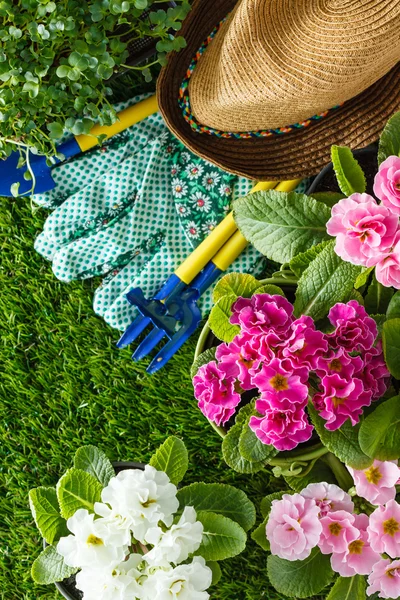 Lentebloemen op gras — Stockfoto