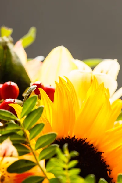 Nice yellow flowers — Stock Photo, Image