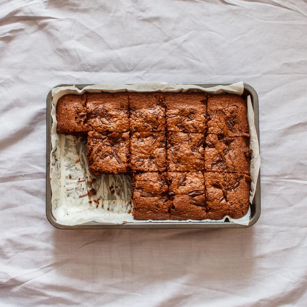 Tasty chocolate brownie — Stock Photo, Image