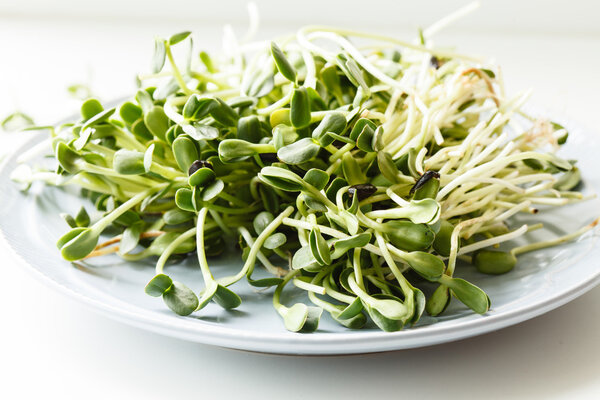 Sunflower sprouts on plate
