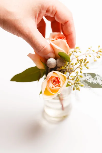 Schöne Blumen und Rosen — Stockfoto