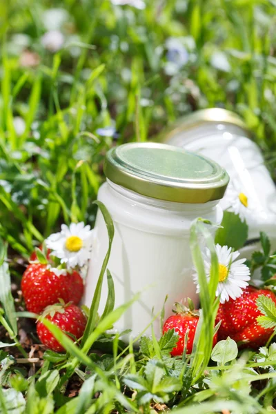 Yogur ecológico con fresas — Foto de Stock