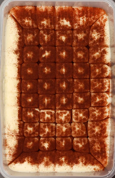 Tiramisu cake background — Stock Photo, Image