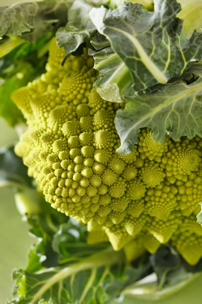 Green romanesco broccoli — Stock Photo, Image