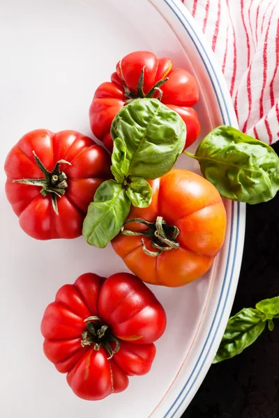 Pomodori con basilico su piatto — Foto Stock