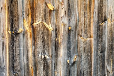 ahşap plakalar doku