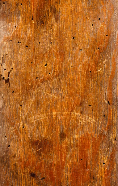 Brown Wooden texture — Stock Photo, Image