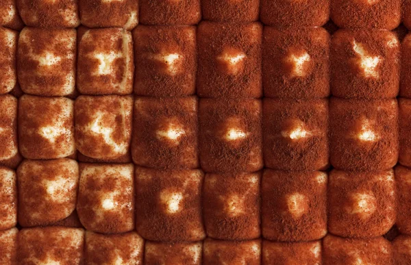 Tiramisu cake closeup — Stock Photo, Image