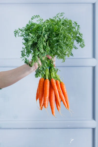 Zanahorias frescas maduras —  Fotos de Stock