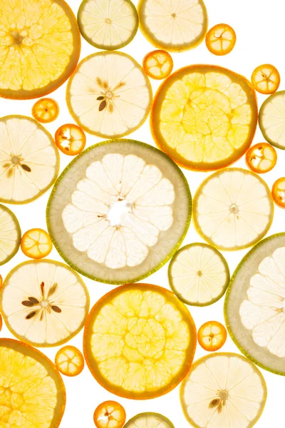 Citrus slices background — Stock Photo, Image