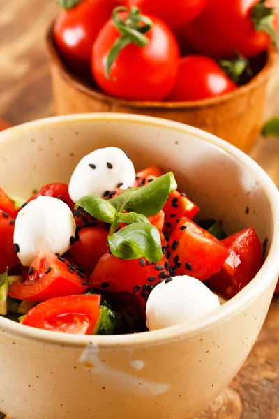 Italiaanse capresesalade — Stockfoto