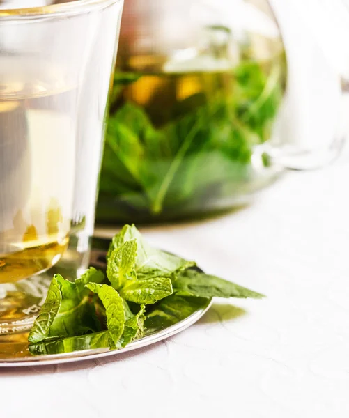 Mint tea in pot on white — Stock Photo, Image