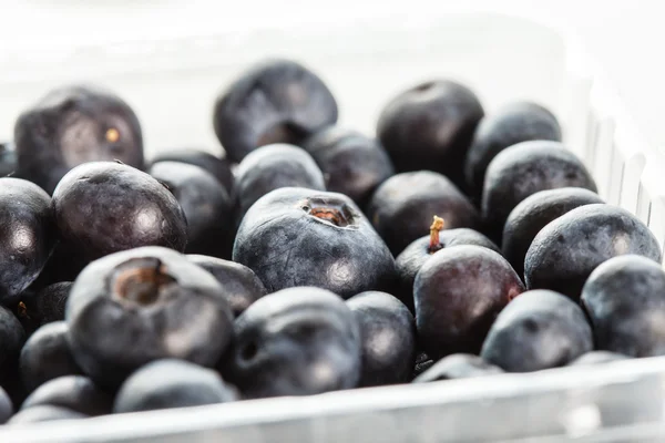 Fresh blueberries in box — Stock Photo, Image