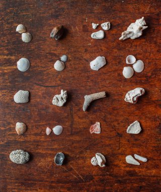 genç bir çift bir hamak üstünde aşk