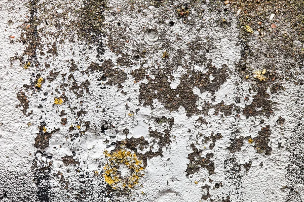 Old wall with moss — Stock Photo, Image