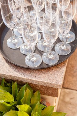 boş şampanya bardağı