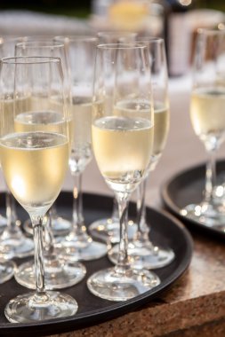 bardak şampanya tablo ile