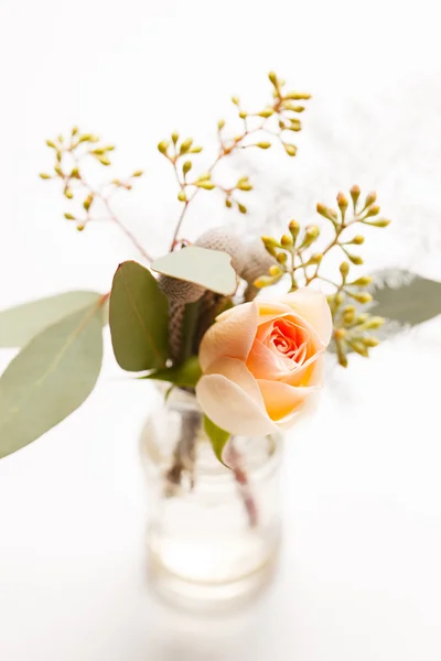Nice rose flower — Stock Photo, Image