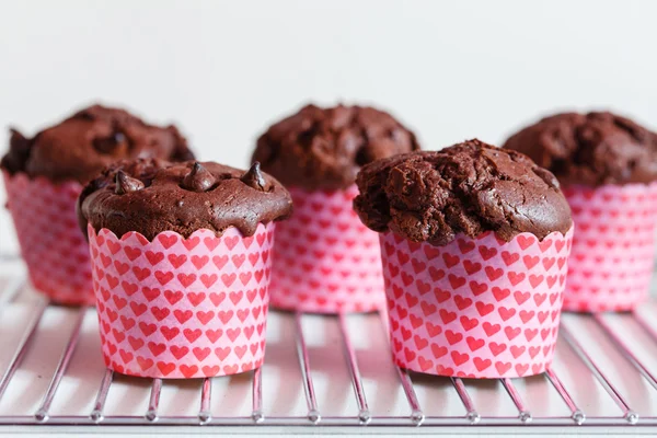 Muffin al cioccolato dolce — Foto Stock