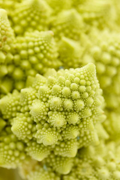 Ripe Romanesco broccoli — Stock Photo, Image