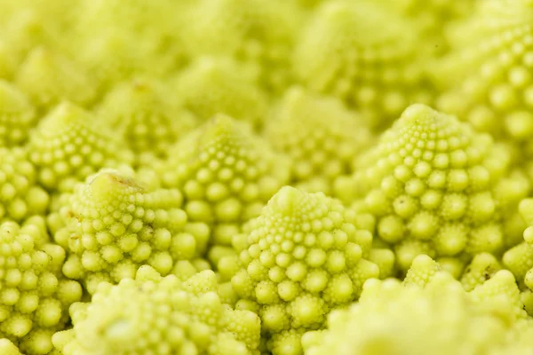 Reifer romanesco broccoli — Stockfoto