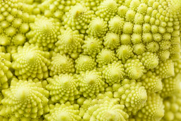 Zralé Romanesco brokolice — Stock fotografie