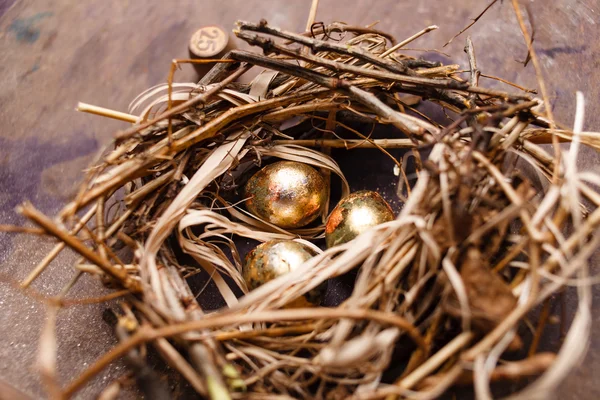 Huevos en nido de aves —  Fotos de Stock