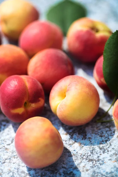 Čerstvé meruňky na stole — Stock fotografie