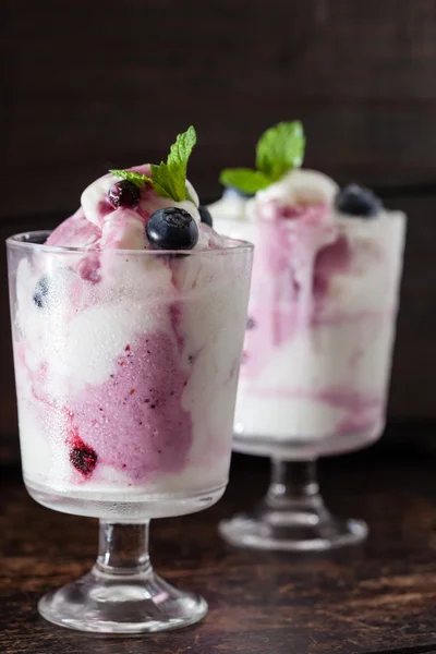 Frozen yogurt with blueberries and mint — Stock Photo, Image