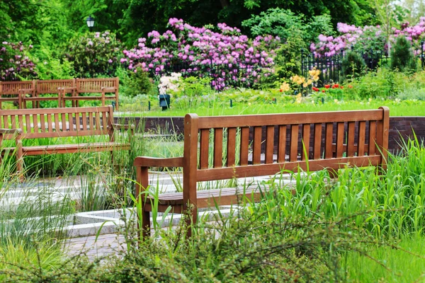 Panchine nel parco estivo — Foto Stock