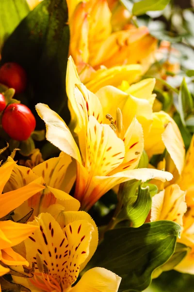 Yellow flowers bouquet — Stock Photo, Image