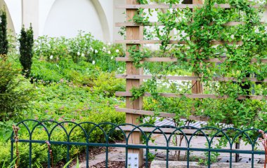 Yaz Çiçek Bahçesi