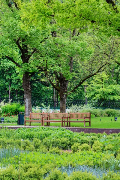 Скамейки в зеленом парке — стоковое фото
