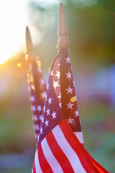 American flags in sunny weather outdoors — Stock Photo, Image