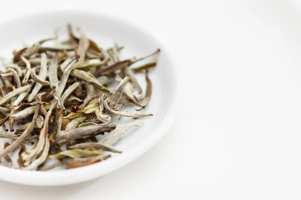 Té verde en el plato — Foto de Stock