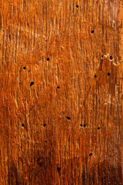 Ahşap doku arkaplanı