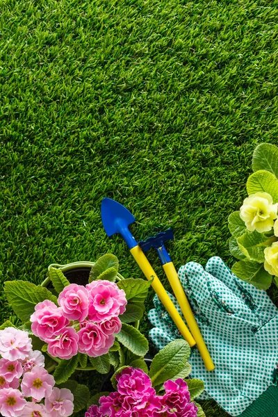 Equipo con flores de primavera —  Fotos de Stock