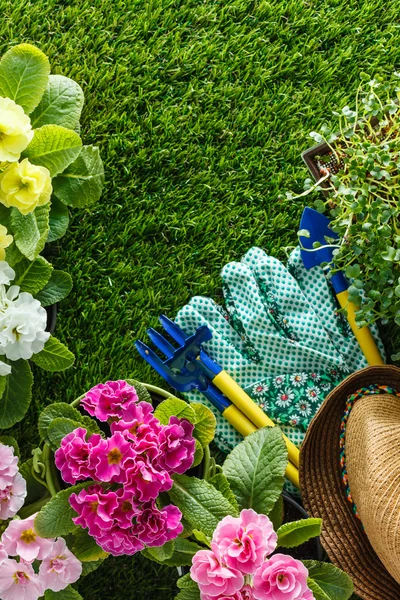 Equipo con flores de primavera — Foto de Stock