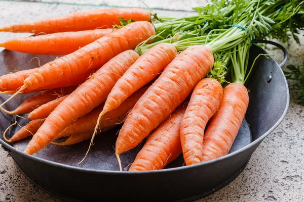 Frische reife Karotten — Stockfoto