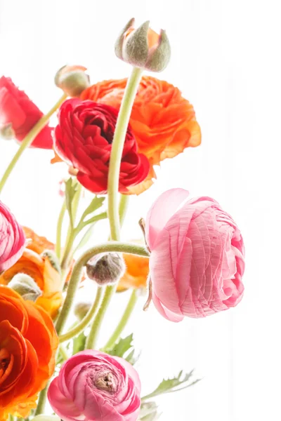 Renkli düğün çiçeği çiçek — Stok fotoğraf
